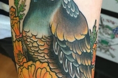 quail