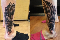 wings
