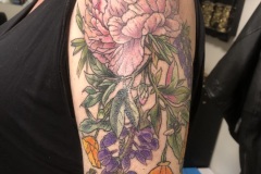 Photo-Sep-11-2023-6-17-52-PM Photo-Sep-11-2023-6-17-52-PM