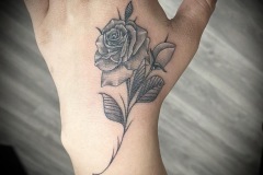 IMG_4331 IMG_4331
