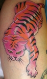 kr-animals-pinktiger01