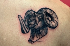 IMG_1107 IMG_1107