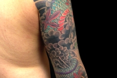 10-arm-dragon2