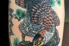 16-hawk