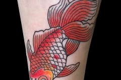 18-goldfish