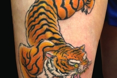 19-Tiger-thigh