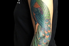 21-peacock