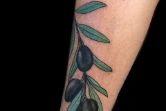 22-olive