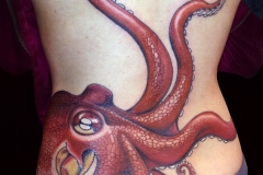23-Octopuss-back