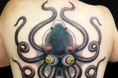 24-octopus