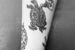 29-turtle