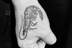 32-shrimp