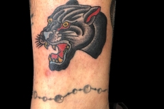 45-panther