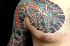 8-shoulder-koi