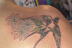 Photo-Aug-20-2024-6-32-08-PM