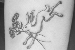 Photo-Aug-23-2024-5-15-23-PM