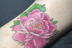 Photo-Aug-23-2024-9-21-48-PM