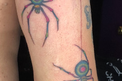 Photo-Dec-20-2022-4-27-48-PM