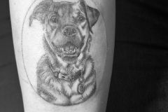 Photo-Feb-11-2025-6-49-08-PM