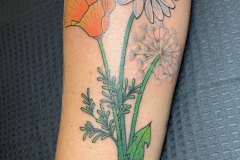 Photo-Jan-24-2026-2-14-13-PM-8