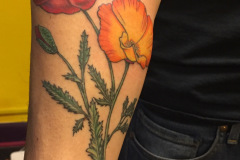 Photo-Nov-23-2019-7-35-48-PM