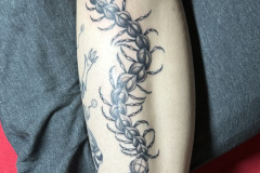 Photo-Oct-18-2023-8-29-00-PM