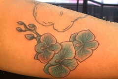 Photo-Jun-25-2-50-29-PM