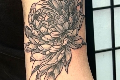 Photo-Mar-24-3-55-51-PM