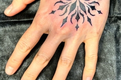 Photo-May-05-3-42-26-PM