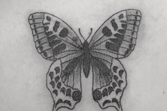 Photo-Sep-02-5-24-19-PM