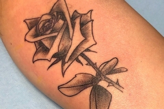 Photo-Sep-09-3-42-57-PM