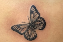 Photo-Sep-09-4-56-53-PM