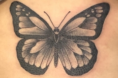 Photo-Sep-16-3-07-05-PM