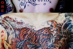 zack-coverup-chest00 zack-coverup-chest00