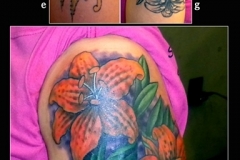 zack-coverup-lilies