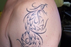 zack-coverup-rose01
