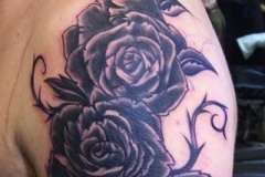 zack-coverup-rose02 zack-coverup-rose02